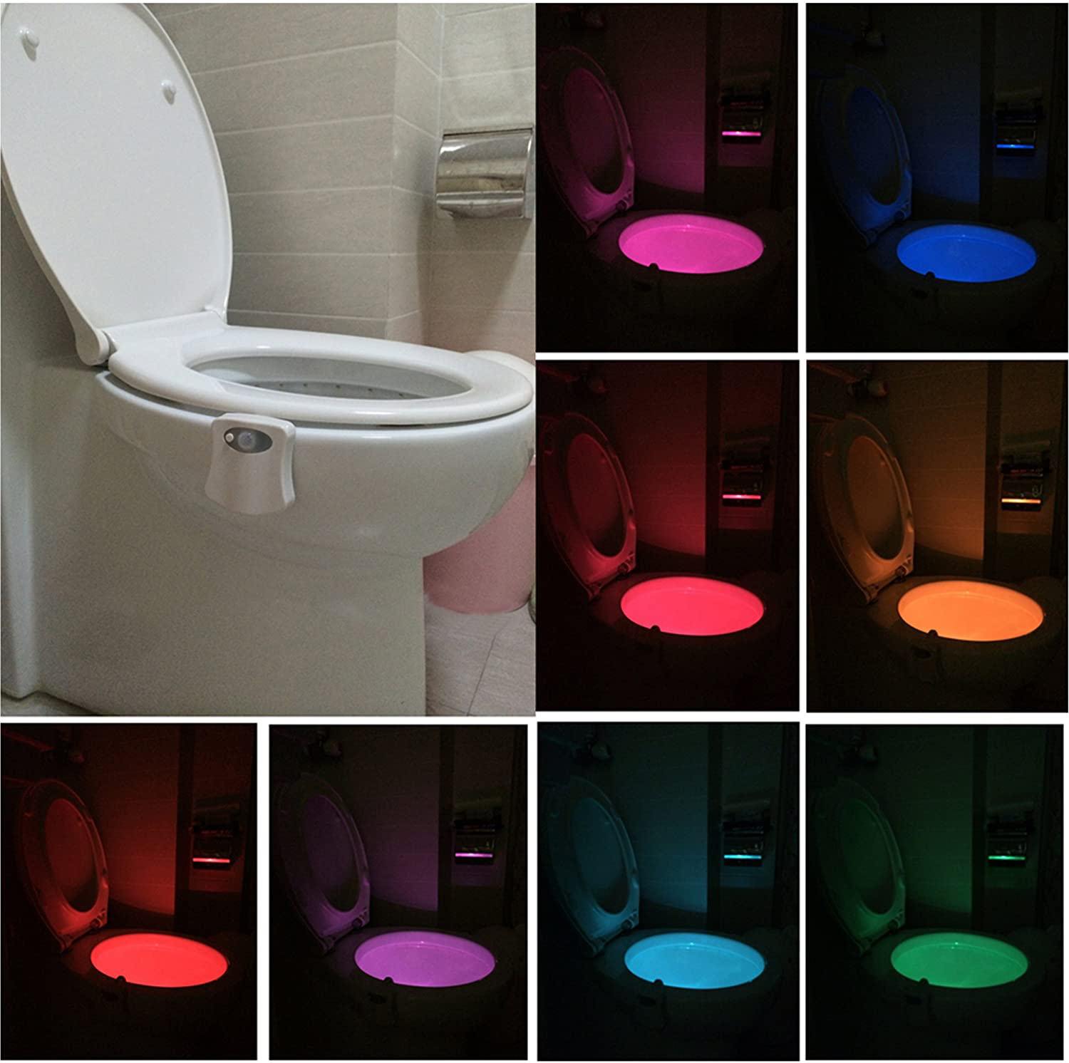 Toilet Night Light supplier