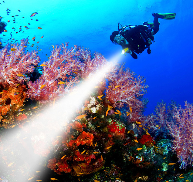 Diving Flashlight Wholesaler