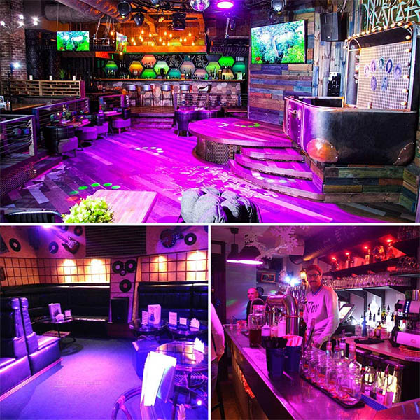 Bespoke UV LED Black lights Wholesale LED Bulb