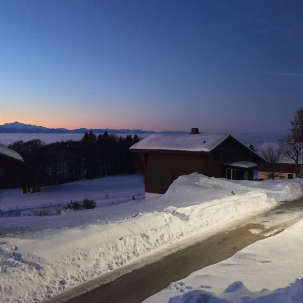 Wholesale Solar Street Lights