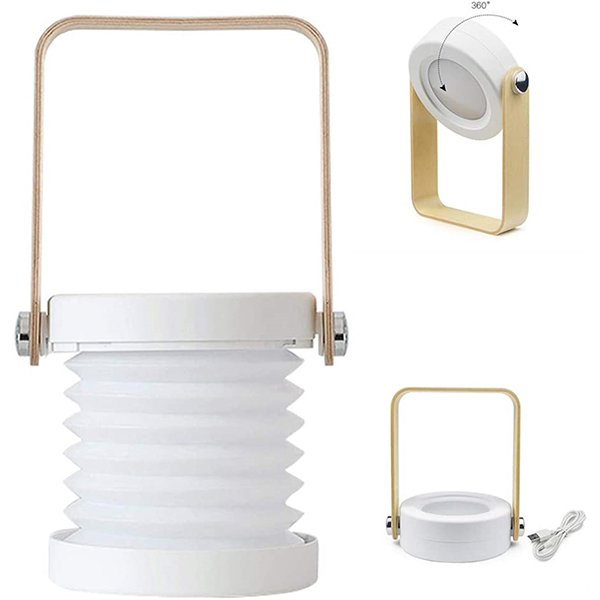 3 in 1 Multifunctional LED Homeuse Light Supplier